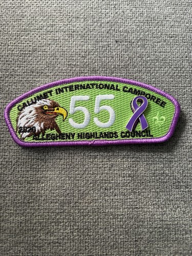 Boy scout patch allegheny - boy,